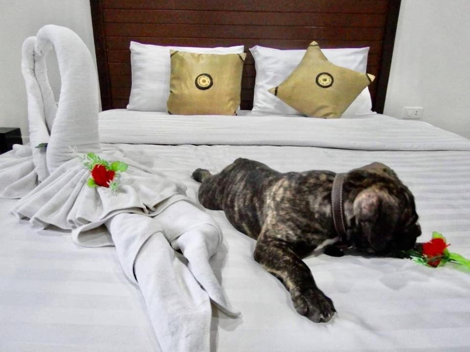 Vivi Boutique Room Hotel Sha Plus Rawai Exteriör bild
